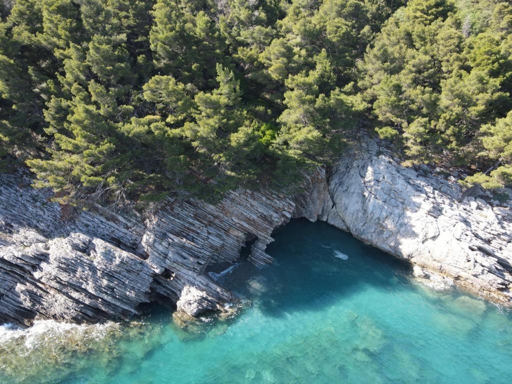 Guest House Jadran Pol Petrovac Exterior photo